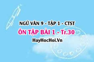 Soạn bài ÔN TẬP trang 30 Ngữ văn lớp 9 tập 1 Chân trời sáng tạo